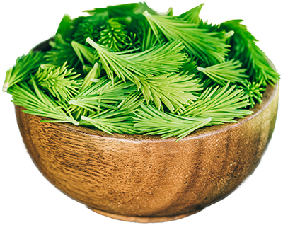 spruce_tips_bowl